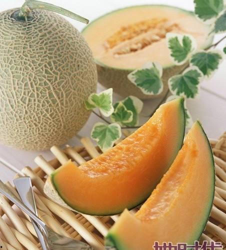 鹅吃哈密瓜吗,揭秘鹅是否吃哈密瓜